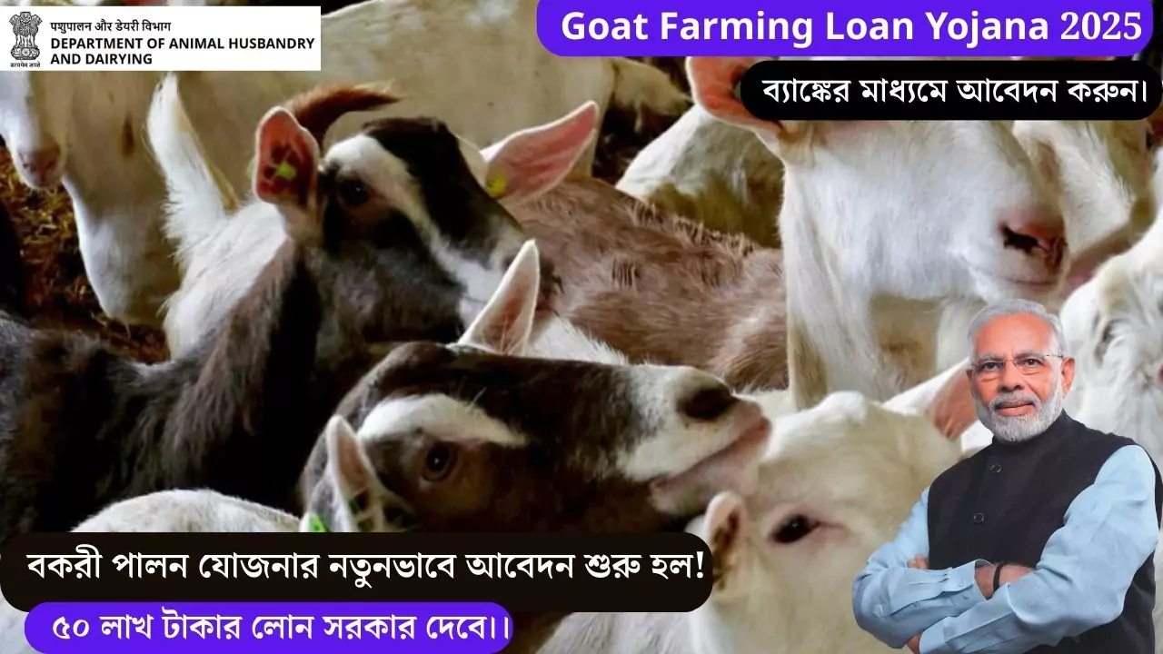 Goat Farming Loan Apply