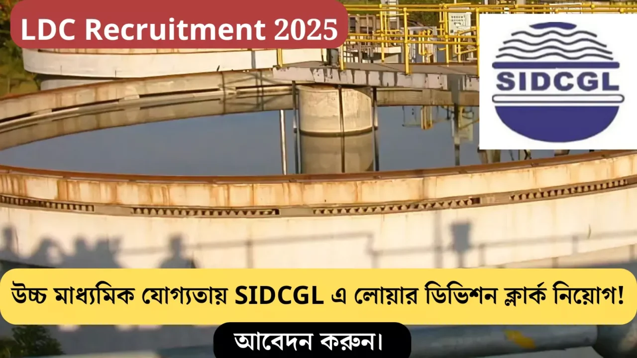 LDC Recruitment 2025